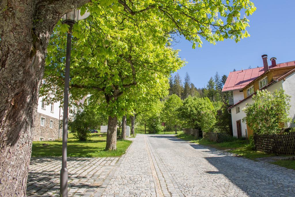 Ferienwohnung Treml Bayerisch Eisenstein Buitenkant foto